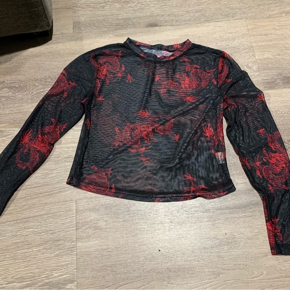 SHEIN sheer long sleeve - Picture 1 of 4